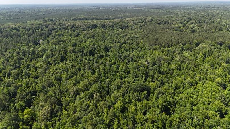 dji_fly_20250526_043812_0003_1748267928910_photo