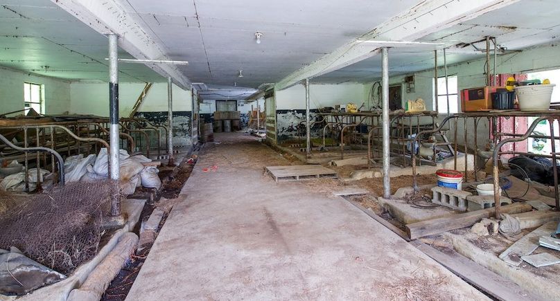 Copy of DSC_2281-Edit