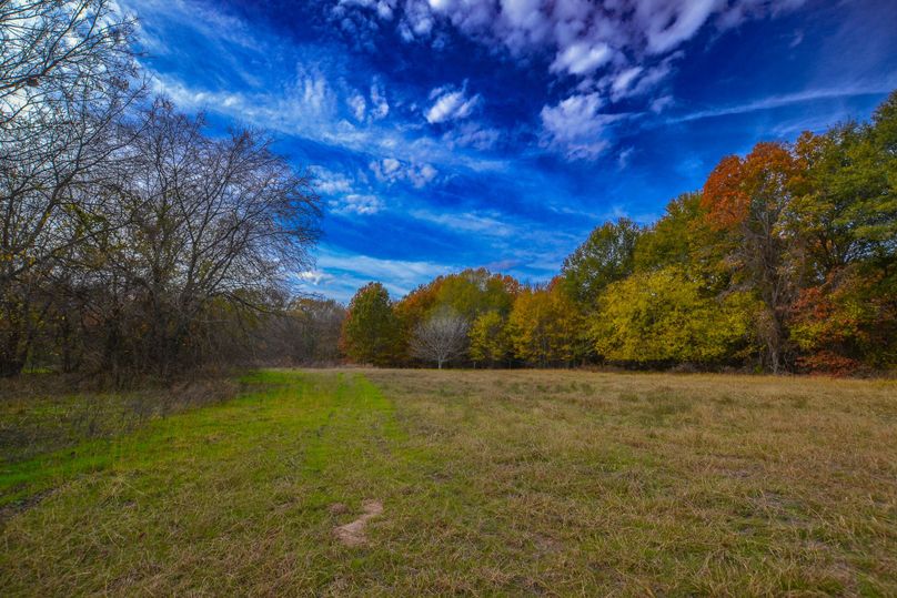 Hunting And Recreation Hideaway In East Texas Whitetail Properties