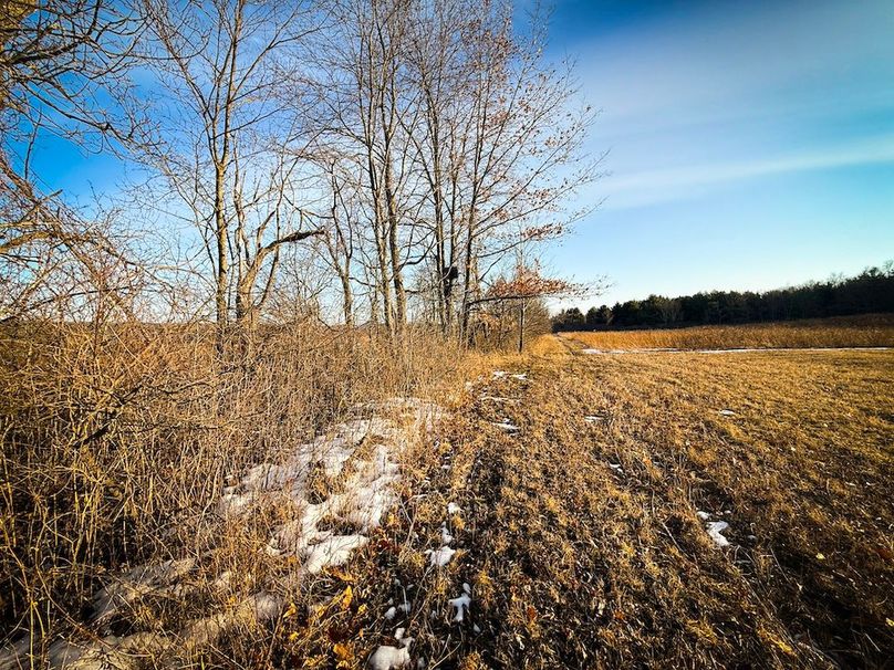 Seneca_24.54_Hohwald_Photos_36