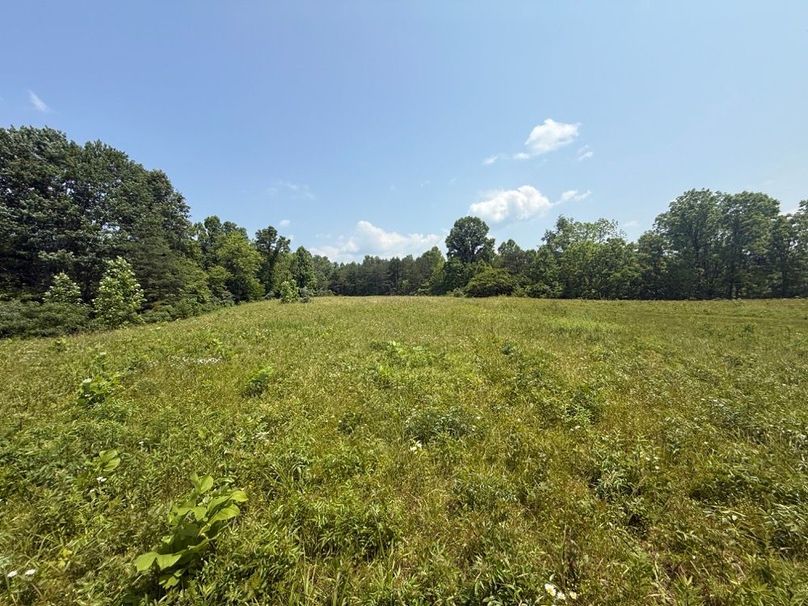 012 the open field areas in the middle of the property at its widest point-2