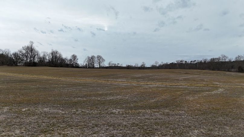 dji_fly_20260218_164402_0025_1771452058238_photo