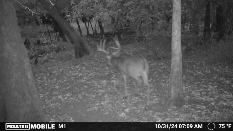 1688612-20241031121024-100MFCAM_MFDC0052