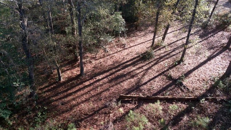 DJI_20251209145843_0020_D