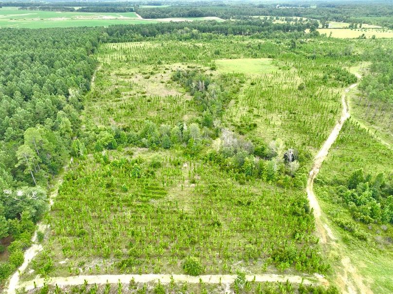 dji_fly_20240710_135130_542_1720634621652_photo