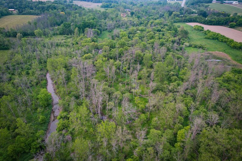 Ontatio_73.3_Green Photo 41