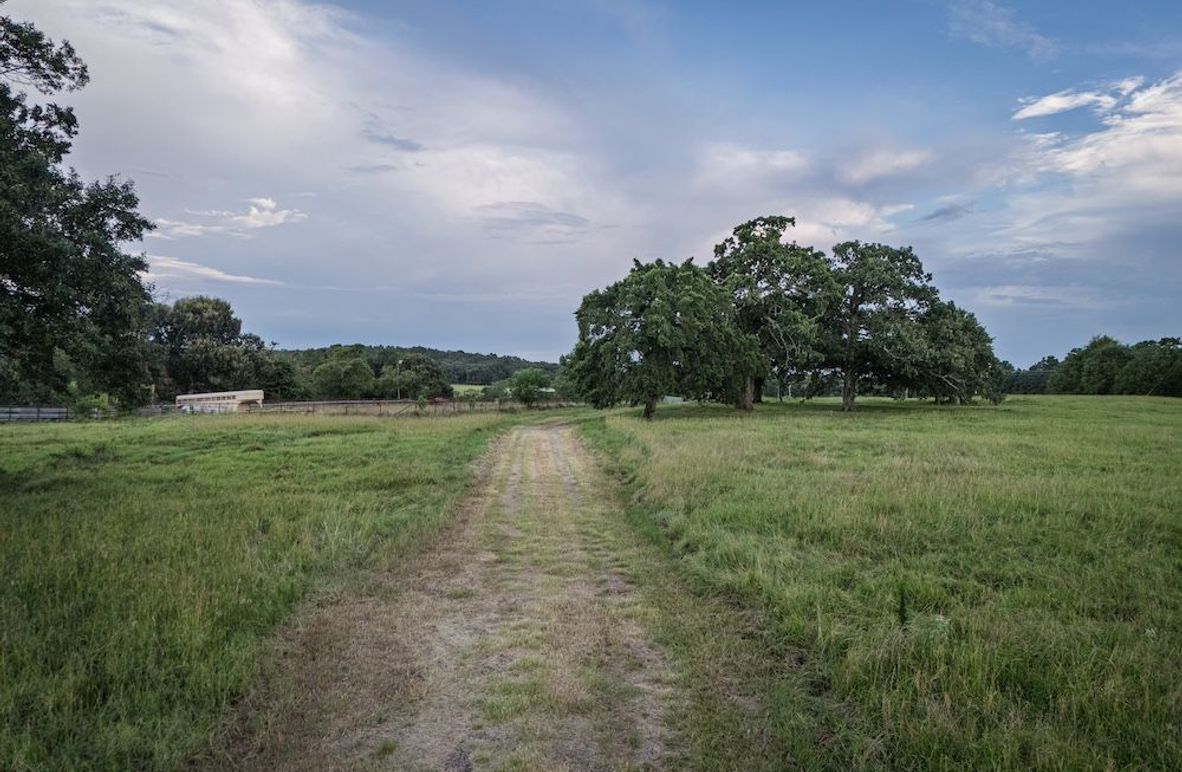 2.1 Copy of DJI_20250709195713_0197_D