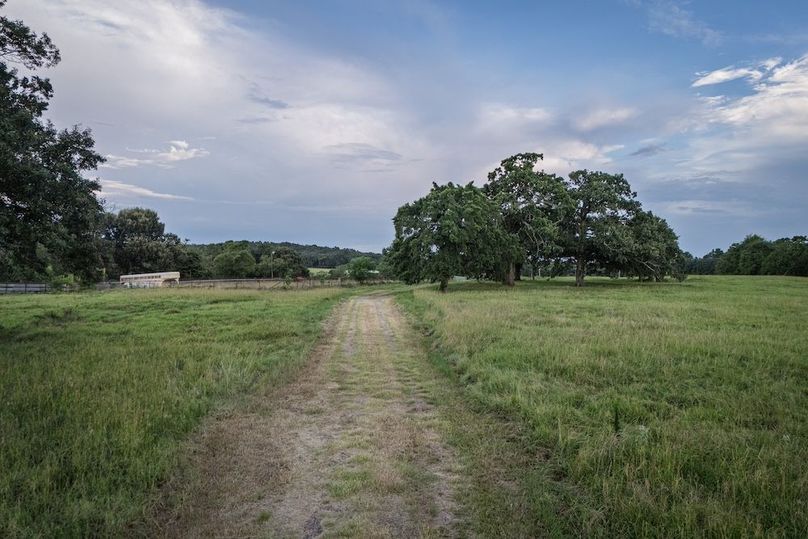 2.1 Copy of DJI_20250709195713_0197_D