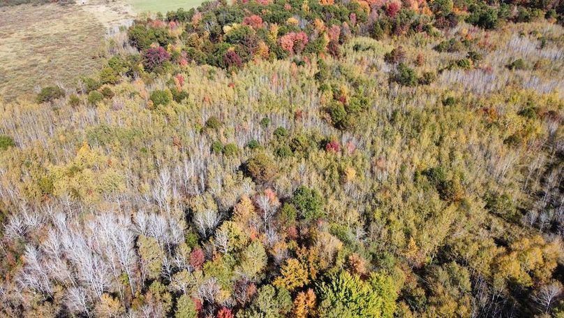 dji_fly_20241010_133336_424_1728585649959_photo_optimized