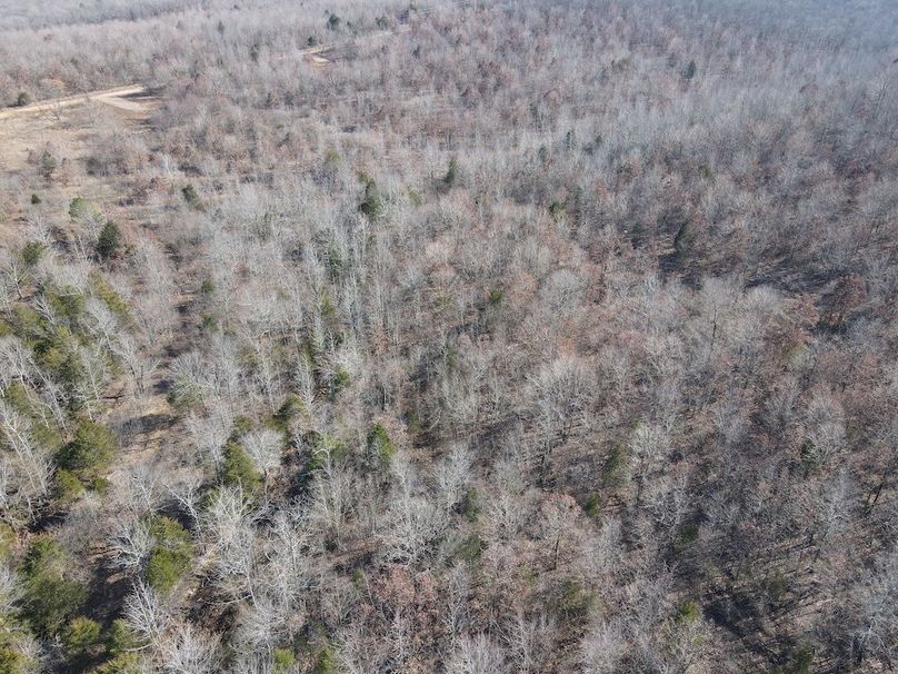 dji_fly_20250213_142634_18_1739478402980_photo