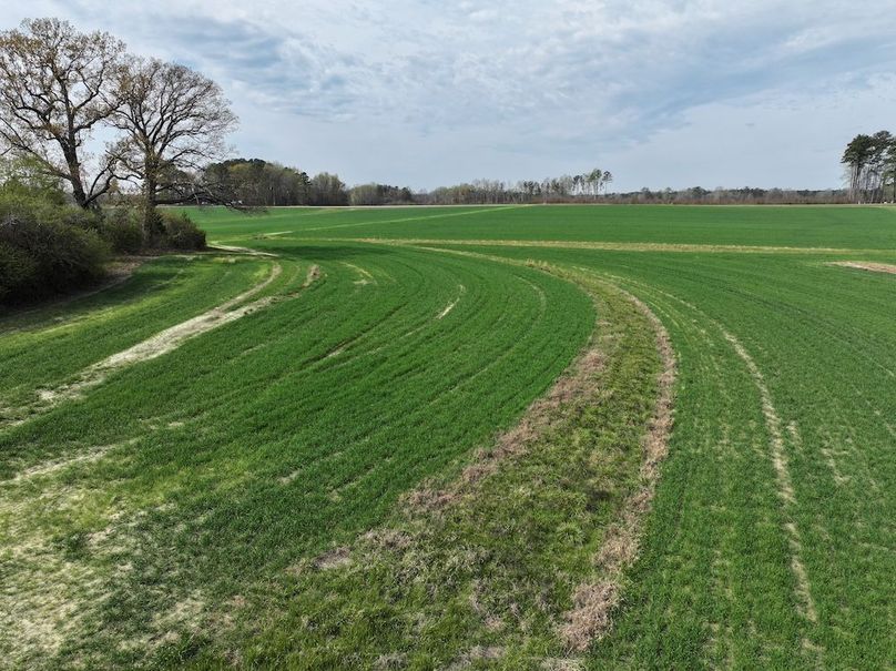 DJI_20260303064430_0579_D