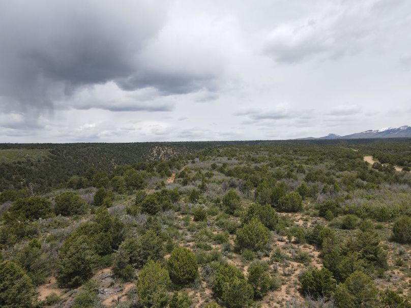 dji_export_1685968245755