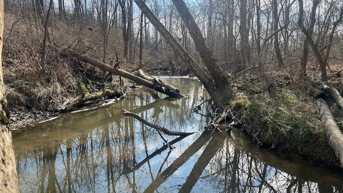 Great Recreational Property In North Central Ohio Whitetail Properties