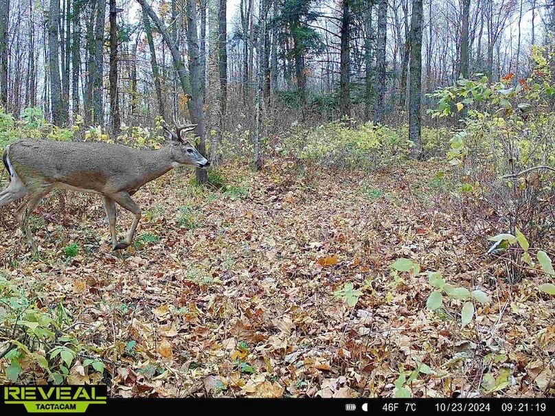 865814048154676-60-2-10232024092118-HD-W1000619