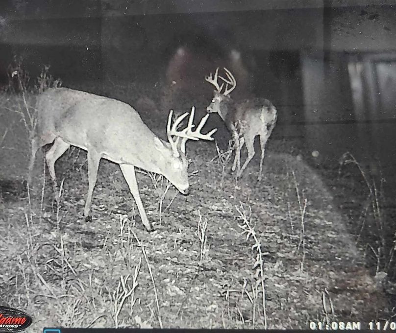 received_946118070167544