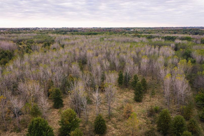 DJI_20251020170119_0068_D-HDR