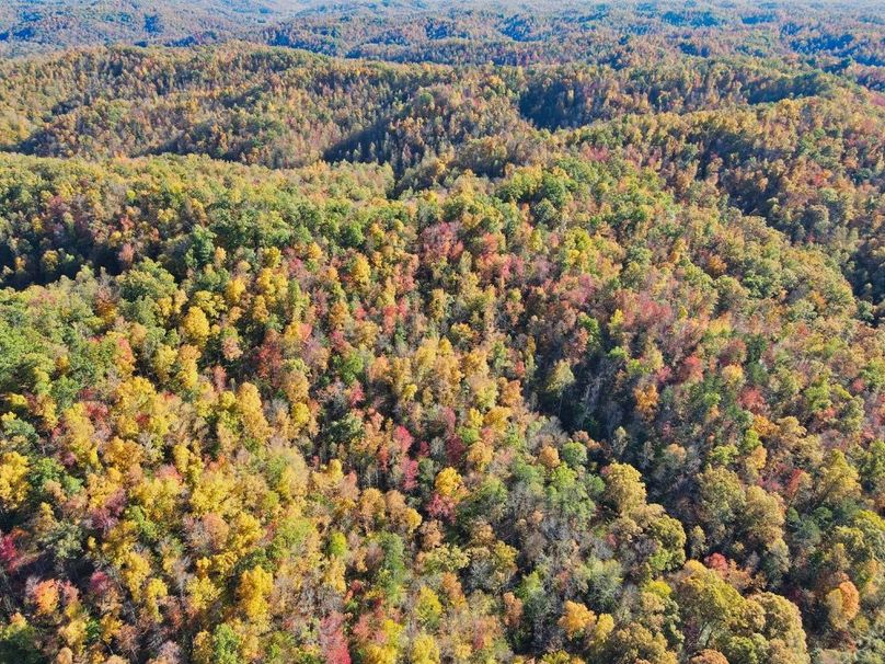 026 great fall colors from above-2