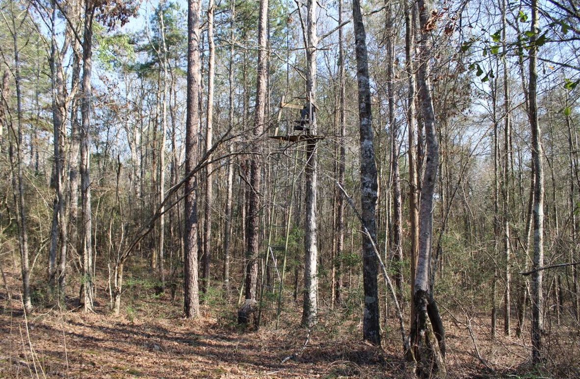 1EBA3CC5-FD8E-4379-9118-EF1650170B73_1_105_c