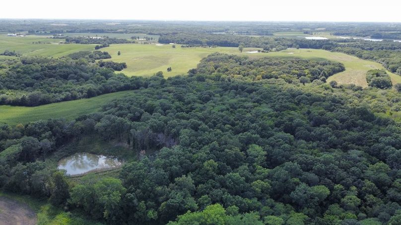 dji_fly_20240801_160846_966_1722546544932_photo_optimized