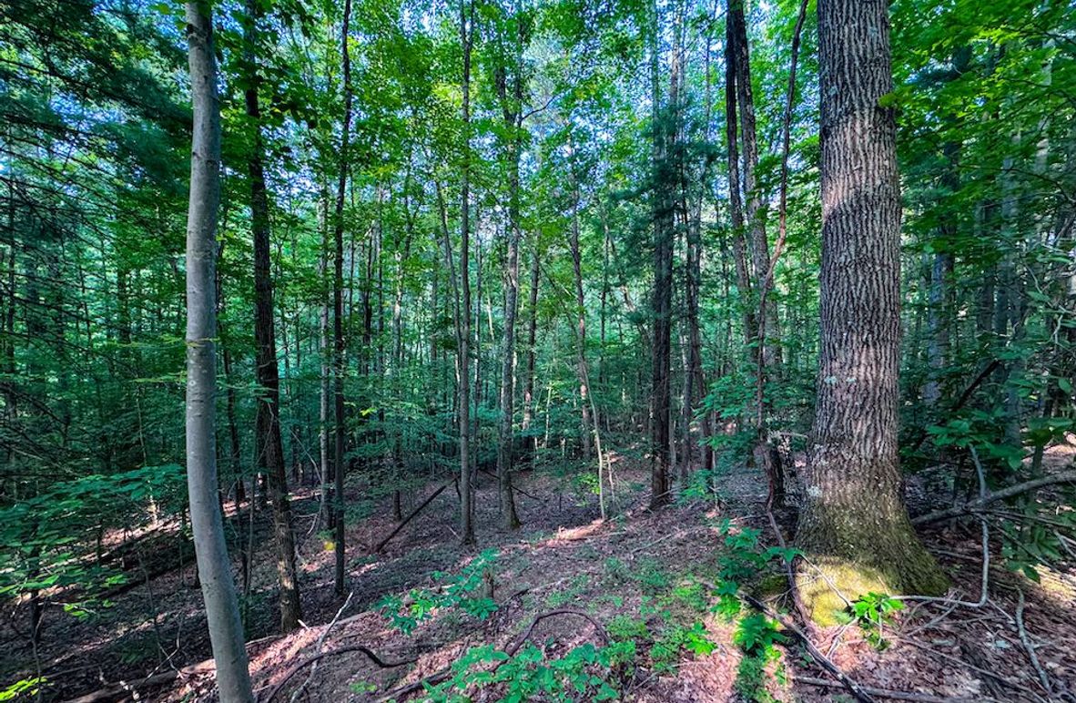 Lewis, WV 82.87 AC Barger-065