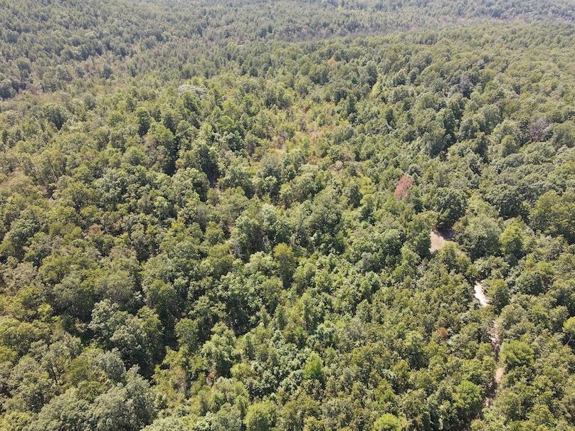 dji_fly_20250902_122636_777_1756834009091_photo