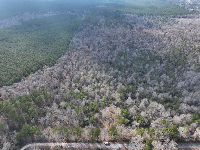 dji_fly_20260212_140924_0061_1771284241681_photo