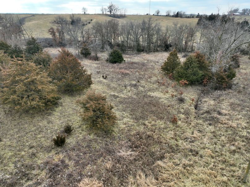 DJI_0859