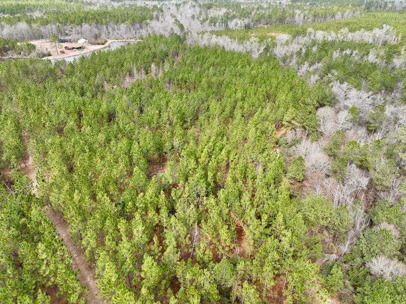 dji_fly_20260211_133358_319_1770835092341_photo