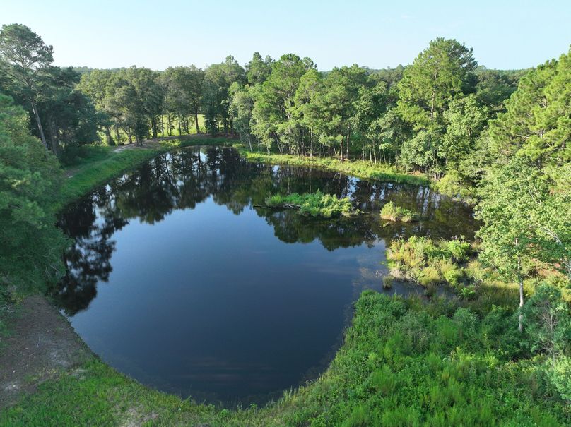 dji_fly_20230813_083628_525_1691930599349_photo