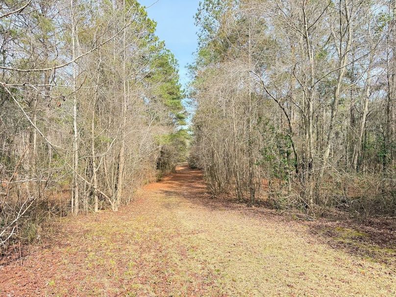 CD5FBE7B-F8FC-4DEB-8C5F-AB11235D9775