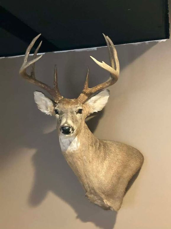 63