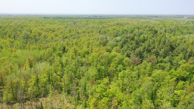 Screenshot 2023-05-25 at 2.44.32 PM