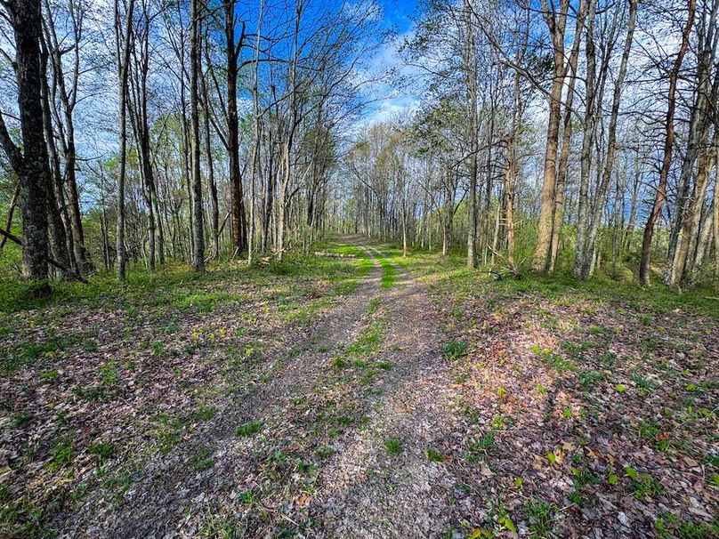 Calhoun, WV 132.84 AC Szegi 2-132