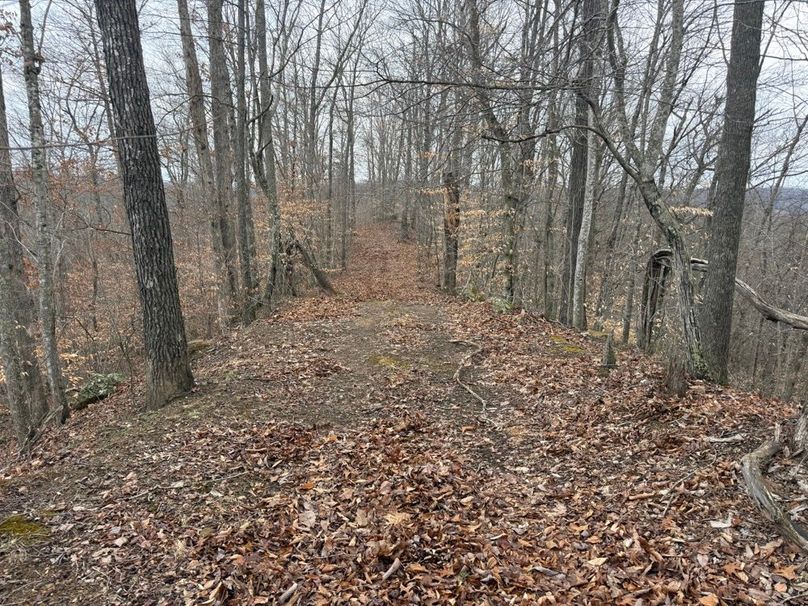 007 another of the many trails that lead about the property