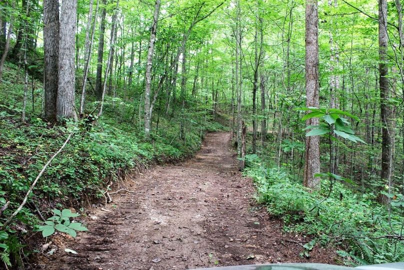 006 one of the network roads leading to the western boundary ridgetop