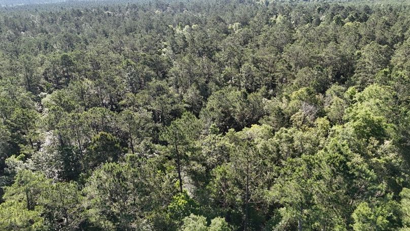 dji_fly_20260512_091346_0164_1778611348034_photo