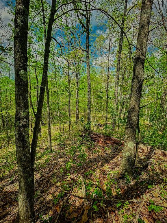 Doddridge, WV 64.69 AC Davis-15