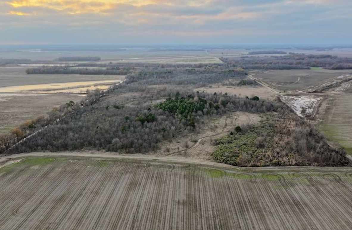 Monroe 80 Driver Dixon (Final Frontier) -01