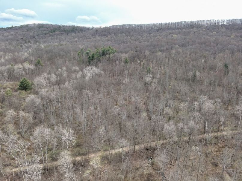 DJI_20260414142904_0020_V