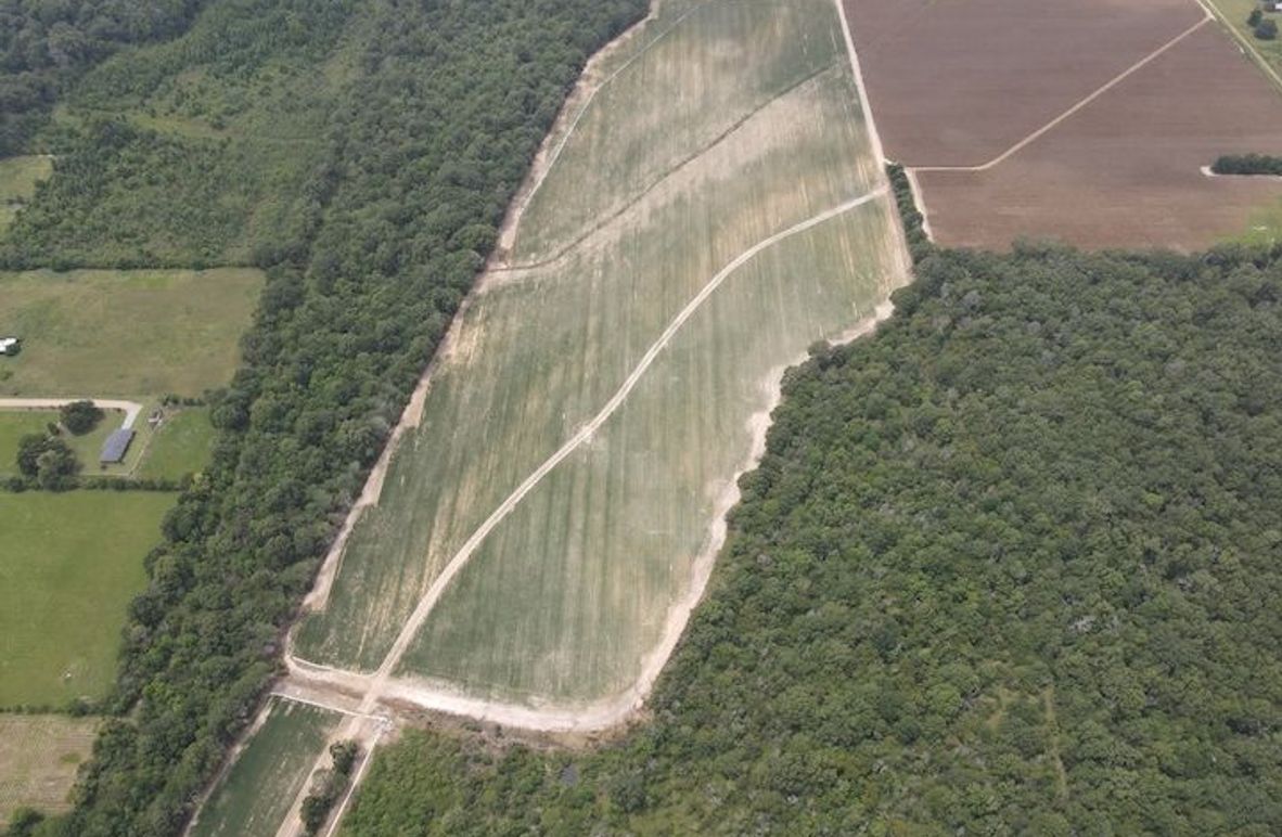 dji_fly_20240802_131652_234_1722622622723_photo