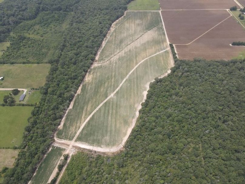 dji_fly_20240802_131652_234_1722622622723_photo