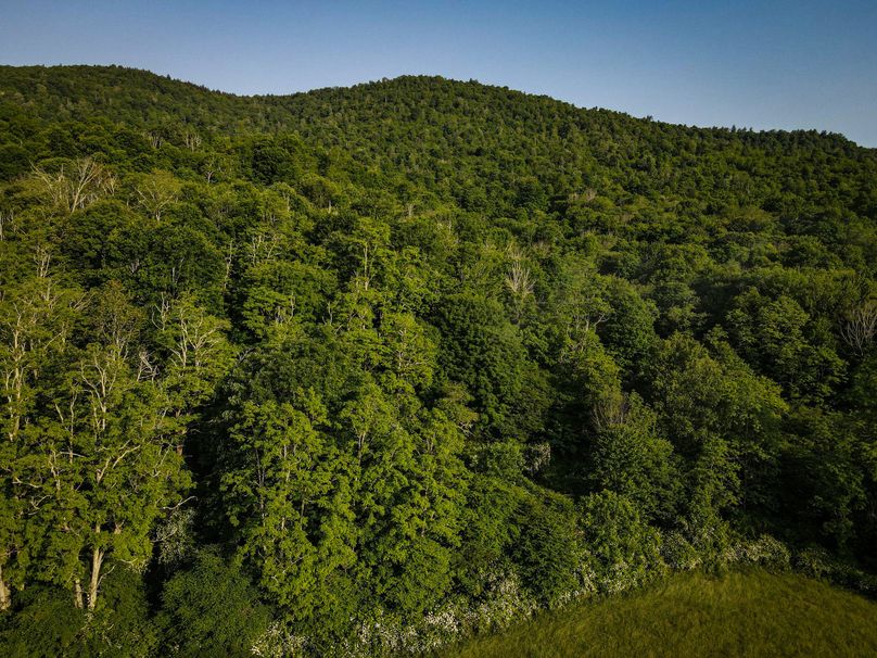 dji_fly_20230615_080044_736_1686830453995_photo