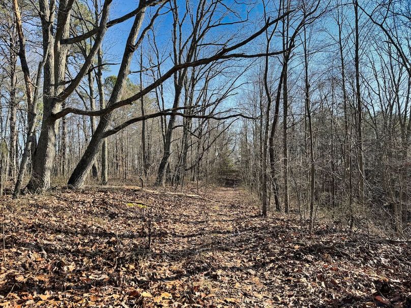 006 great trail system throughout the property