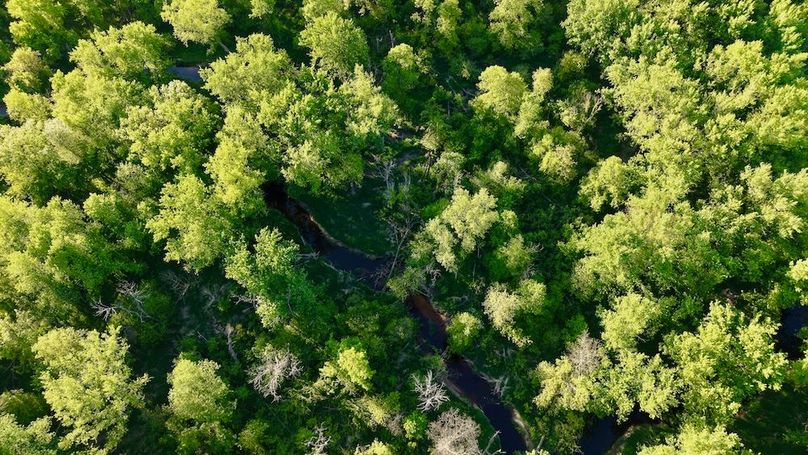 La Crosse 56.17 - 11