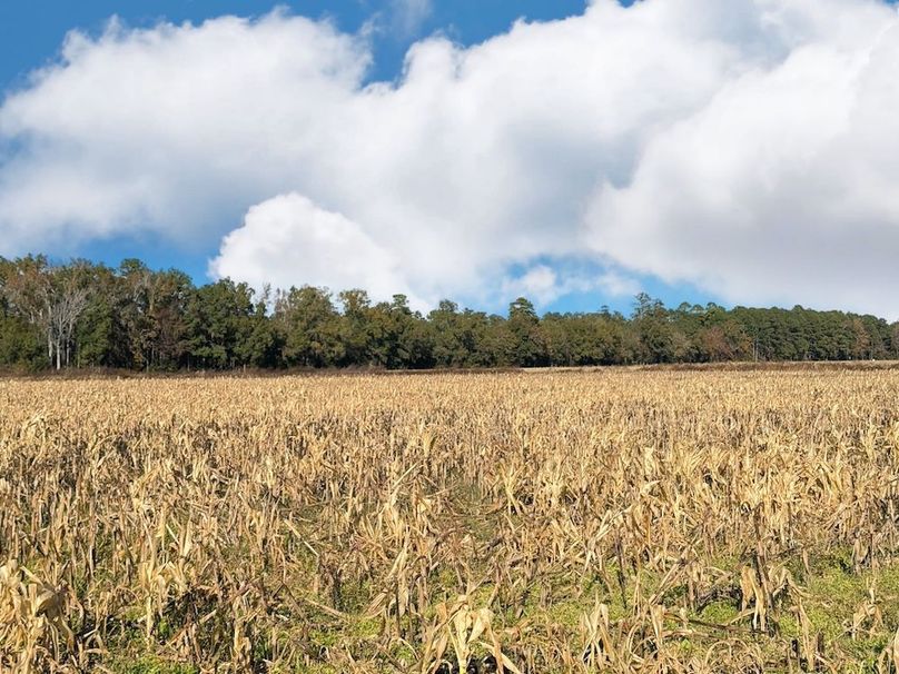 FC1318EA-5E9E-4DFE-915B-6C2D0333159E