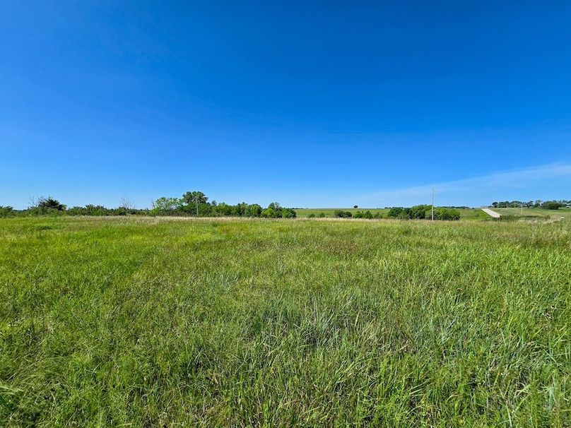 Copy of 20250729_112402