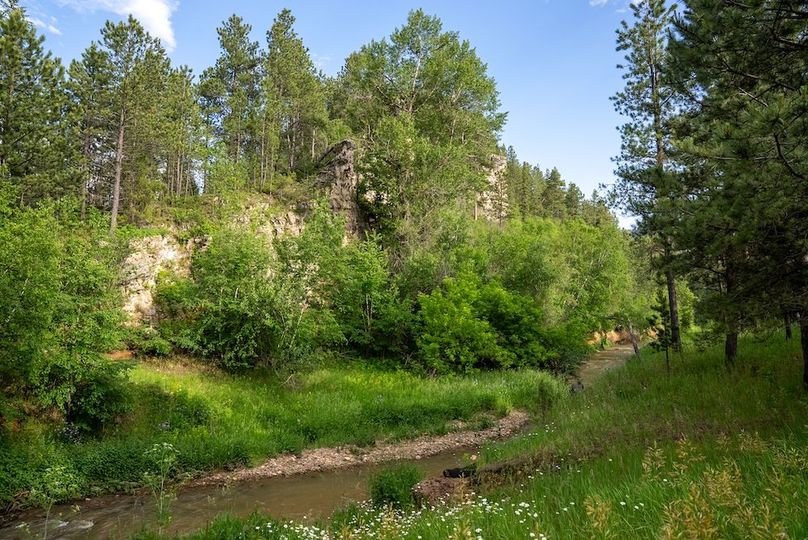 Lawrence SD 50 Featured_ProPhoto-44