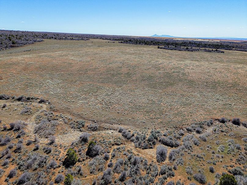 DJI_20260303123414_0072_D