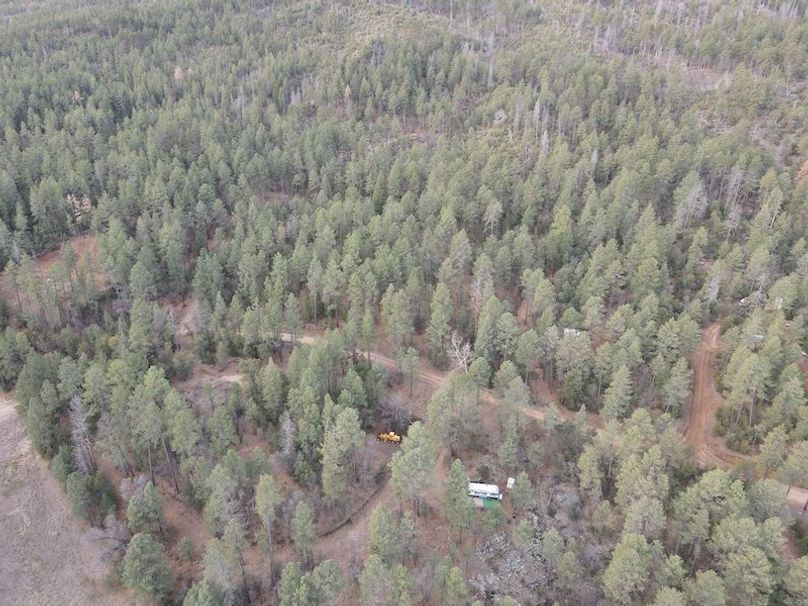 6.dji_fly_20240227_075232_375_1709045818585_photo