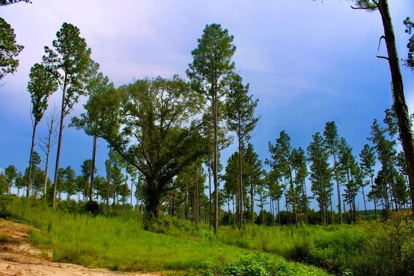 0F6E3441-89AD-41B5-A809-AAFA2484AEB6_1_105_c